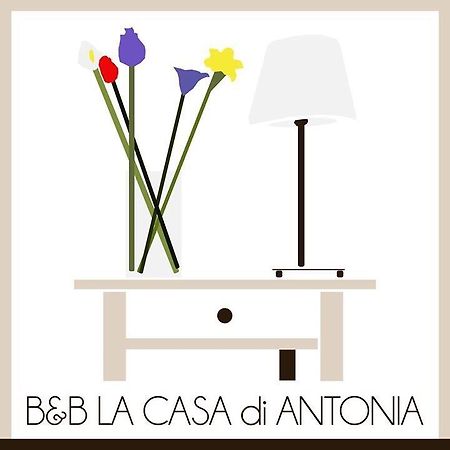 La Casa Di Antonia Bed and Breakfast Rom Exteriör bild